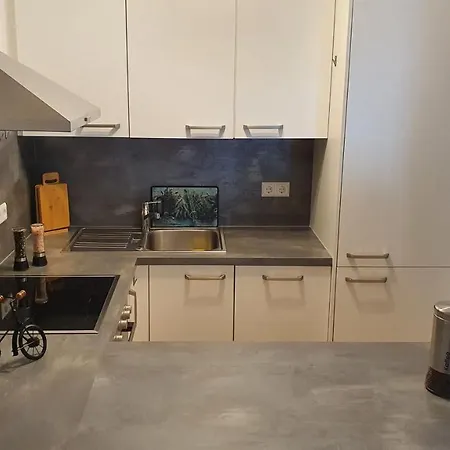 Apartman Black Forest Schwarzwaldperle Häusern